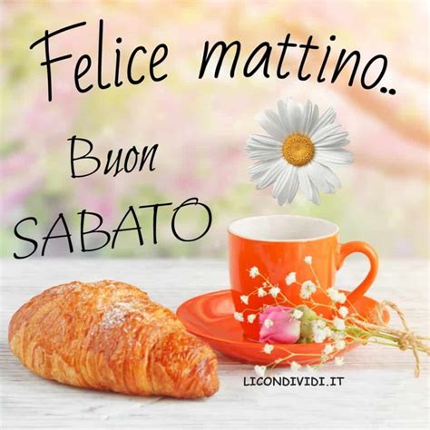 immagini nuove buon sabato|pinterest buon sabato frasi.